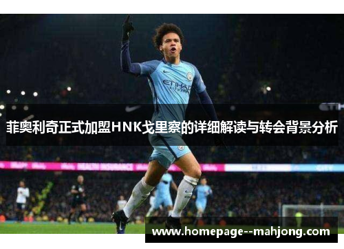 菲奥利奇正式加盟HNK戈里察的详细解读与转会背景分析