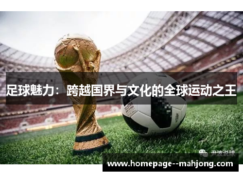 足球魅力：跨越国界与文化的全球运动之王