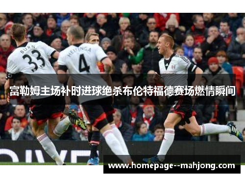 富勒姆主场补时进球绝杀布伦特福德赛场燃情瞬间